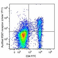Purified anti-mouse P2X7R Antibody (148702)