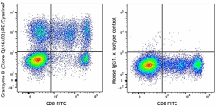 PE/Cyanine7 anti-human/mouse Granzyme B Recombinant Antibody (372213)