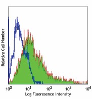 FITC anti-rat CD86 Antibody (200305)