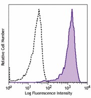 PE anti-human GPR19 Antibody (357003)