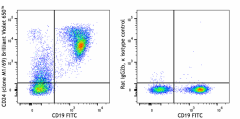 Brilliant Violet 650™ anti-mouse CD24 Antibody (101857)