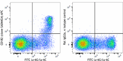 APC anti-mouse CD182 (CXCR2) Antibody (149311)