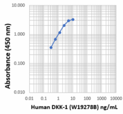 Purified anti-human DKK-1 Antibody (616552)