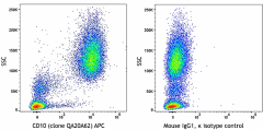 APC anti-human CD10 Recombinant Antibody (377403)