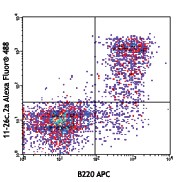 Alexa Fluor® 488 anti-mouse IgD Antibody (405717)