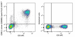 Spark PLUS UV395™ anti-mouse CD90.2 (Thy1.2) Antibody (164805)