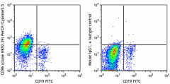 PerCP/Cyanine5.5 anti-human CD96 (TACTILE) Antibody (338411)