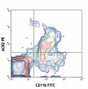 PE anti-mouse CD117 (c-kit) Antibody (135105)