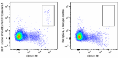 PerCP/Cyanine5.5 anti-human XCR1 Antibody (372630)