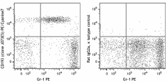PE/Cyanine7 anti-mouse CD193 (CCR3) Antibody (144513)