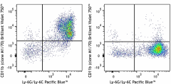 Brilliant Violet 750™ anti-mouse/human CD11b Antibody (101267)