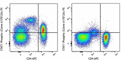 PE anti-STAT1 Phospho (Tyr701) Antibody (666403)