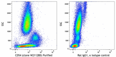 Purified anti-human CD54 Antibody (300707)