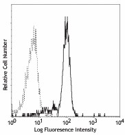 Purified anti-human CD116 Antibody (305902)