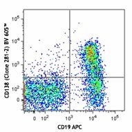 Brilliant Violet 605™ anti-mouse CD138 (Syndecan-1) Antibody (142515)