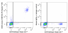 PE/Dazzle™ 594 anti-human CD20 Antibody (375512)