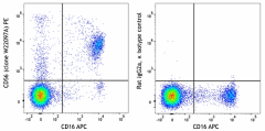 PE anti-human CD56 (NCAM) Antibody (343753)