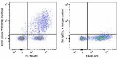 Purified anti-mouse CD91 Antibody (111902)