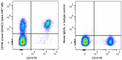 Spark NIR™ 685 anti-human CD196 (CCR6) Antibody (353452)
