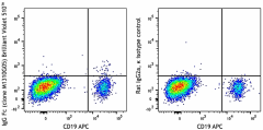 Brilliant Violet 510™ anti-human IgG Fc Antibody (410715)