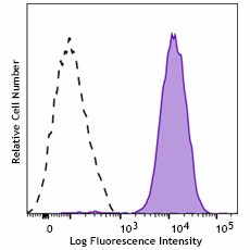 PE anti-human CD144 Recombinant Antibody (376503)