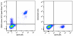 Spark Blue™ 515 anti-human CD20 Antibody (302375)