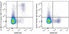 PE/Cyanine7 anti-mouse Ly-49C/F/I/H Antibody (108209)