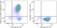 KIRAVIA Blue 520™ anti-mouse CD184 (CXCR4) Antibody (146527)