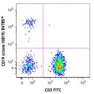 Brilliant Violet 785™ anti-human CD19 Antibody (302239)