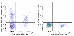 Spark PLUS UV395™ anti-human CD31 Antibody (375903)