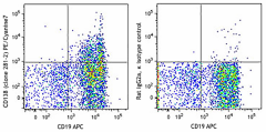 PE/Cyanine7 anti-mouse CD138 (Syndecan-1) Antibody (142513)