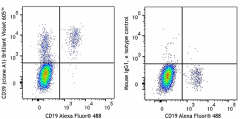 Brilliant Violet 605™ anti-human CD39 Antibody (328235)