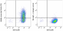 FITC anti-mouse CD206 (MMR) Recombinant Antibody (162507)