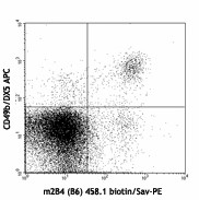 Biotin anti-mouse CD244.2 (2B4 B6 Alloantigen) Antibody (133505)