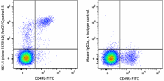 PerCP/Cyanine5.5 anti-mouse NK-1.1 Antibody (156525)