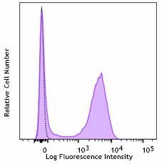 Purified anti-rat CD3 Recombinant Antibody (200002)