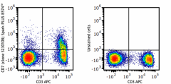 Spark PLUS B574™ anti-mouse CD7 Antibody (167107)