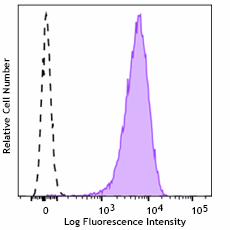 Purified anti-rat TSPAN8 Antibody (200802)