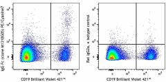 PE/Cyanine7 anti-human IgG Fc Antibody (410721)