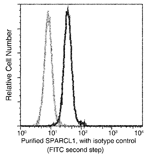 SPARCL1/SPARC-like 1 Monoclonal Antibody (AN200090P)