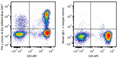 KIRAVIA Blue 520™ anti-human IFN-γ Antibody (502553)