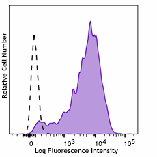 PE anti-human CD90 (Thy1) Antibody (389905)