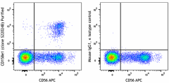 Purified anti-human CD158e1 (KIR3DL1, NKB1) Antibody (389502)