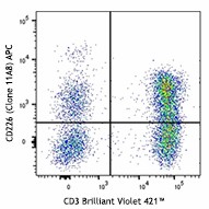 APC anti-human CD226 (DNAM-1) Antibody (338311)