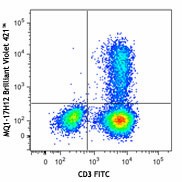 Brilliant Violet 421™ anti-human IL-2 Antibody (500327)