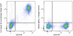 Brilliant Violet 510™ anti-mouse I-Ak (Aβk) Antibody (109915)