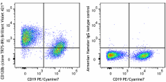 Brilliant Violet 421™ anti-mouse CD120b (TNF R Type II/p75) Antibody (113411)