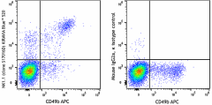 KIRAVIA Blue 520™ anti-mouse NK-1.1 Antibody (156521)