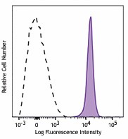 APC/Fire™ 750 anti-rat CD45 Antibody (202221)
