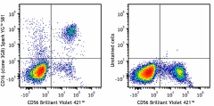 Spark YG™ 581 anti-human CD16 Antibody (302070)